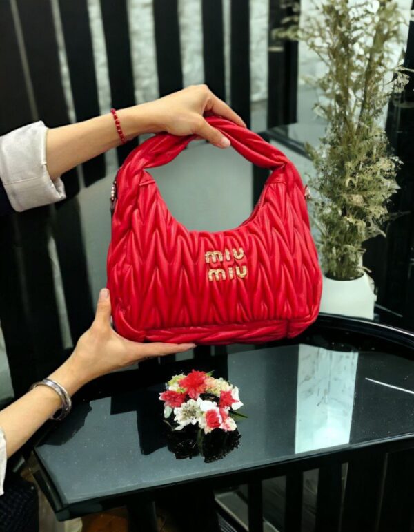 Miu Miu Wonderbag