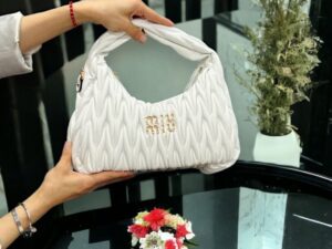 Miu Miu Wonderbag