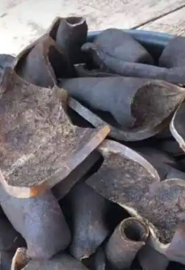Ponmo Ijebu- Normal Size